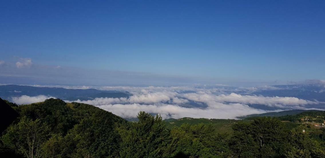Goma Kop Apartmani Kopaonik Exterior foto